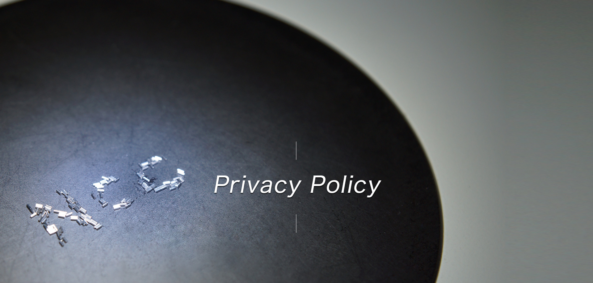 Privacy Policy