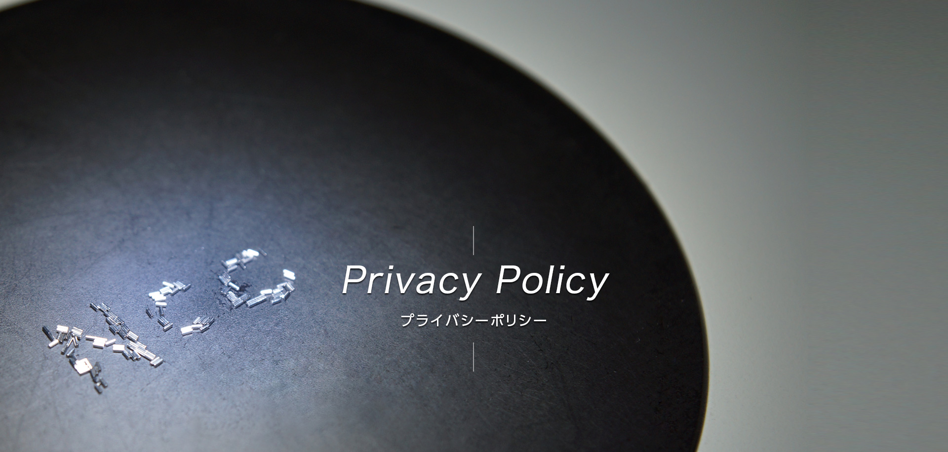 Privacy Policy